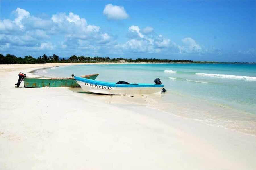 Saona island small group boat with water slide with lunch - Saona Island and Paradise Beach: sand time plus a buffet with personality