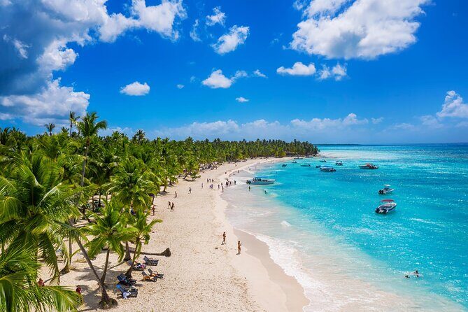 Saona Island Tour and Catamaran Party from Punta Cana - Saona Island and Catamaran Party: The Big Idea