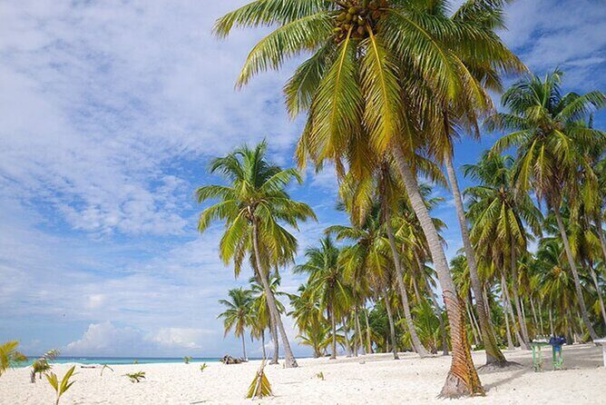 Saona Island Tour and Catamaran Party from Punta Cana - Who This Tour Fits Best (And Who Should Skip It)
