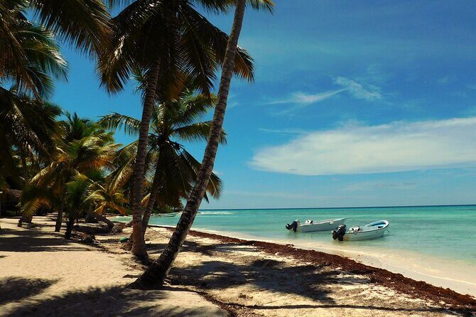Saona Island Tour from Juan Dolio with pickup - From Juan Dolio to Saona: Why This Tour Flow Works