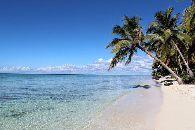 Saona Island Tour from Juan Dolio with pickup - Lunch, Drinks, and That All-Inclusive Feeling
