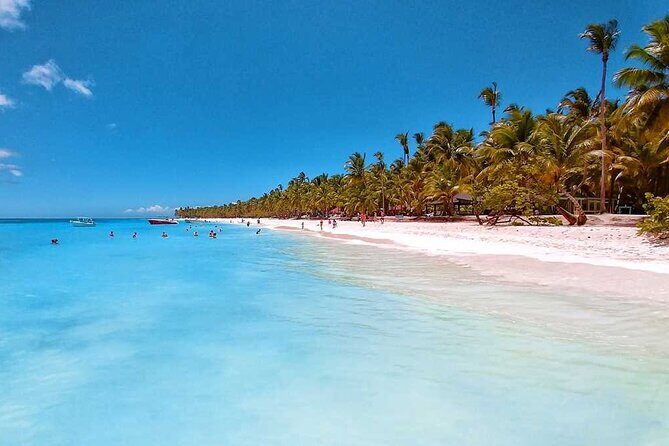 Saona Island Tour from Juan Dolio with pickup - Isla Saona: 2 Hours of Beach Time You Can Actually Use