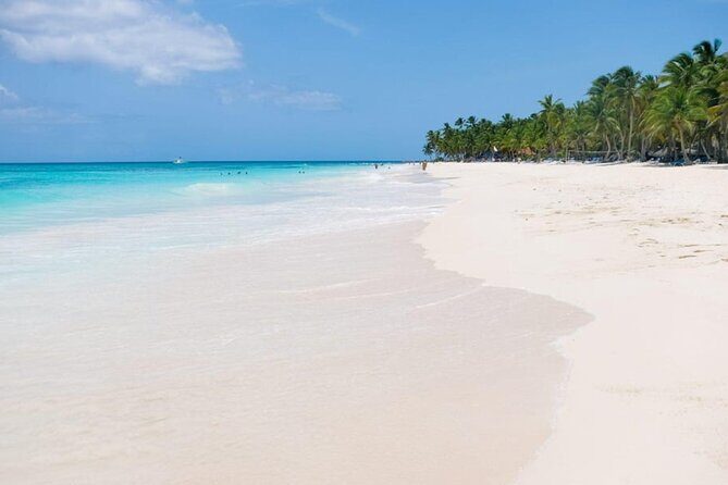 Saona Island Tour From Punta Cana - The Party-Boat Feel: Open Bar, Music, and Comfort Details