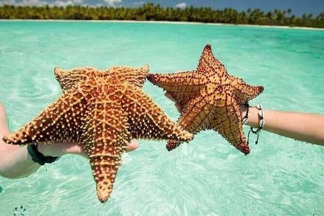 Saona Island Tour from Punta Cana All Inclusive - La Romana Transfer: Where the Day Starts to Feel Like an Adventure
