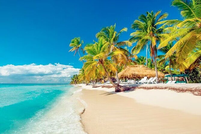 Saona Island Tour from Punta Cana with Lunch, Open Bar & Pickup - Punta Cana Pickup to Bayahibe: The Part That Sets Your Day’s Pace