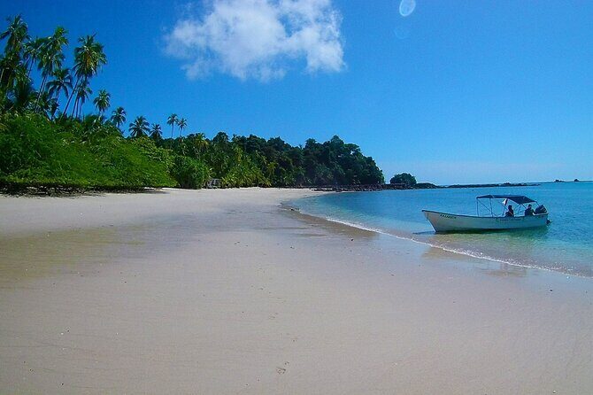 Saona Island Tour from Punta Cana with Lunch, Open Bar & Pickup - Lunch and Open Bar: The Midday Reset You’ll Appreciate
