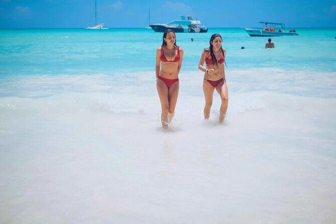 Saona Island Tour From Santo Domingo with Lunch, Open Bar, Pickup - Price and what you actually get for $91.80