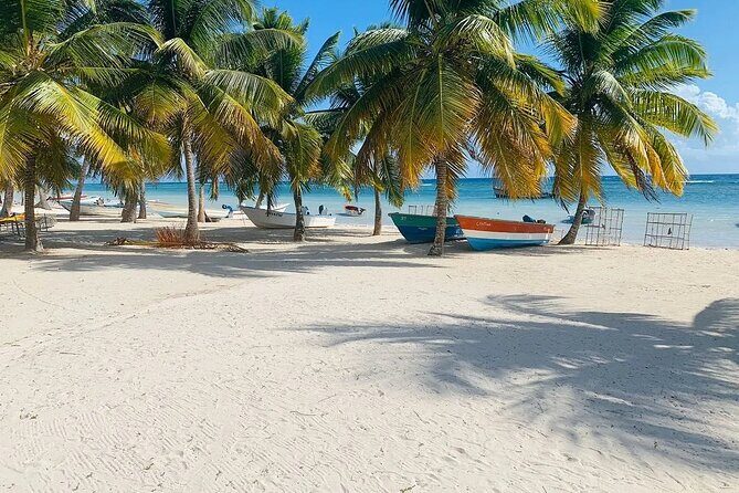 Saona Island Tour From Santo Domingo with Lunch, Open Bar, Pickup - Group size, guides, and how to make the day feel smoother