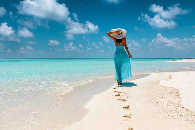 Saona Island Tour From Santo Domingo with Lunch, Open Bar, Pickup - Should you book this Saona Island tour?
