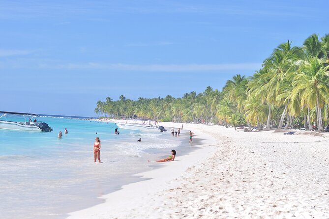 Saona Island Tour in Punta Cana - Guides and Staff: What Makes the Tour Feel Organized
