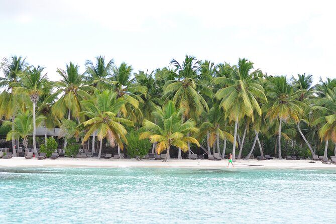 Saona Island Tour in Punta Cana - Price and Value: Is $95 a Good Deal?