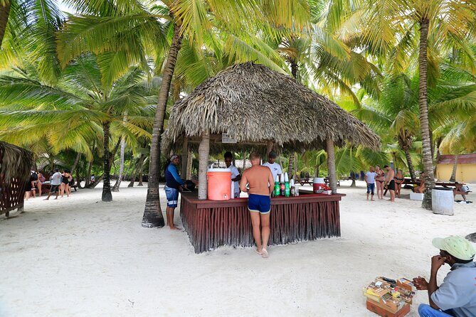 Saona Island Tour with Altos de Chavón from Punta Cana - Las Palmillas Natural Pool: Your First Real Water Break