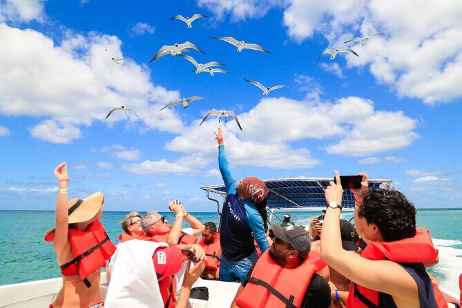 Saona Island Tour with Altos de Chavón from Punta Cana - Transportation, Tour Staff, and Language: What to Watch For