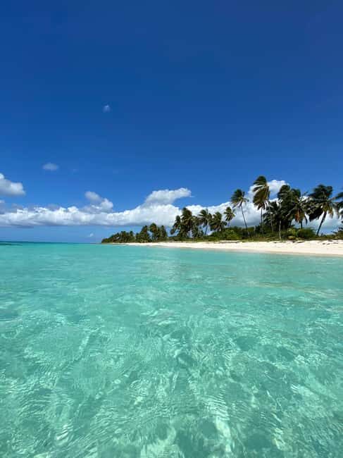 Saona Island VIP: 4 Beaches , Mano Juan & Canto de la Playa - Key highlights that matter