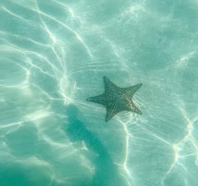 Saona Island VIP: 4 Beaches , Mano Juan & Canto de la Playa - Saona Island VIP: what you’re really buying