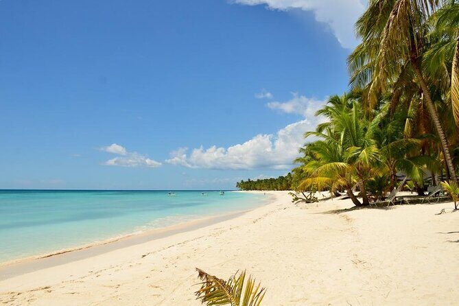 Saona Island VIP Experience – Private Boat for Up to 20 People - Price Check: Is $2,400 Per Person Good Value?
