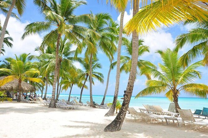 Saona Island VIP Experience – Private Boat for Up to 20 People - Saona Island Stop: Beach Time and the Natural Pool Experience