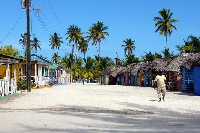 Saona Island VIP Full Day All Inclusive Excursion - Natural Pool (Blue Lagoon style) in 45 minutes: short, scenic, and timing-sensitive