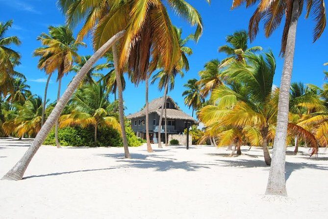 Saona Island VIP Full Day All Inclusive Excursion - What to bring so the day feels easy, not exhausting