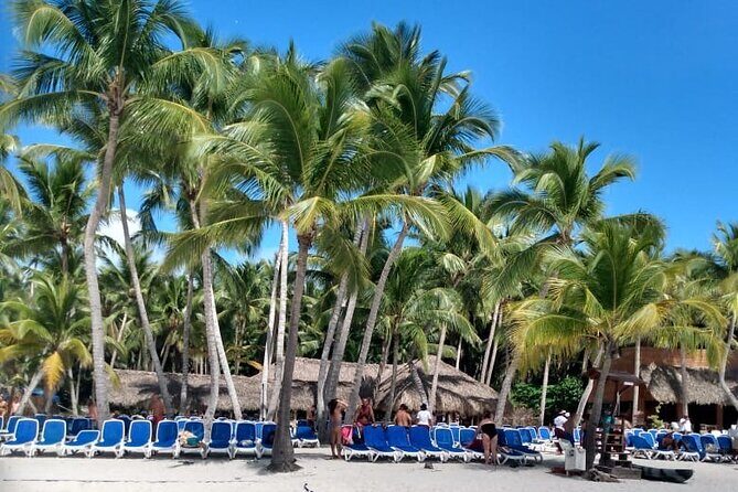 Saona Island: White Sands & Turquoise Waters” - Buffet Lunch and Open Bar: What’s Included (and What Costs Extra)