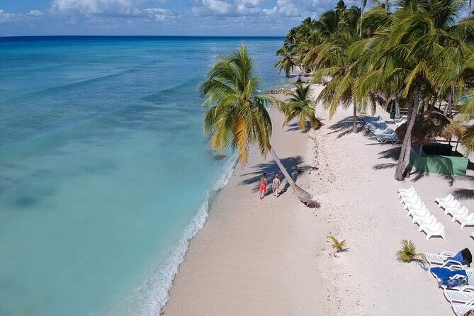 Saona Relax Tour - Key highlights (the stuff that matters)