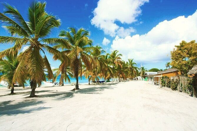 Saona Relax Tour - Drinks all day: rum, mamajuana, beer, and the alcohol rules