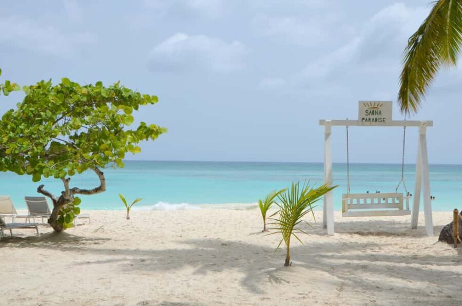Saona Special Tour: 4 Beaches with Canto from Punta Cana - Key points that matter before you go