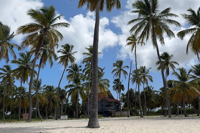 Saona VIP 3 Beaches, Natural Pool & Mano Juan Turtle Sanctuary - Who Should Book This VIP Saona Day Trip