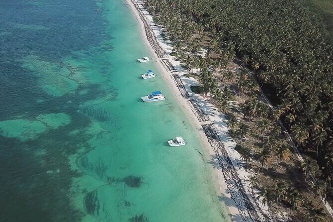Saône Deluxe Platinum Island - Getting there: pickup, mobile ticket, and the Platinum Transfer vibe
