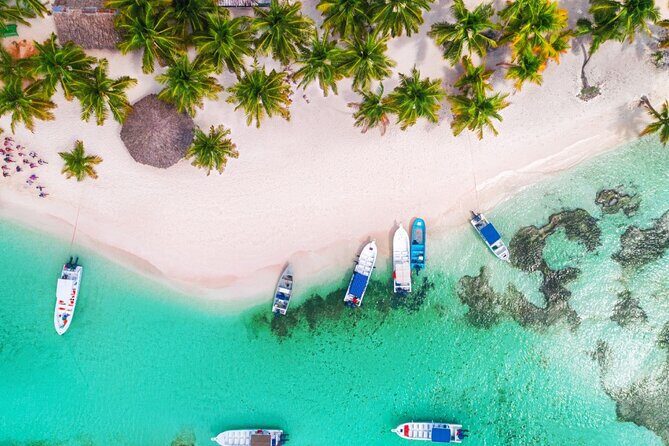 Saône Island in Catamaran and speedboat (blue lagoon) swimming pool. - Sea stars in shallow water: the fun part, plus your best approach