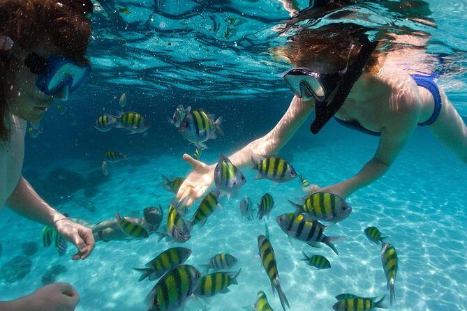 Scape Park Sunshine Cruise at Cap Cana - Cap Cana Marina: a fancy start before the sea gets real