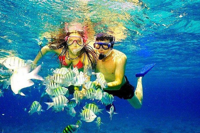 Scuba Diving at Catalina Island - 2 tank | 2 spots - A catamaran day focused on two reef stops