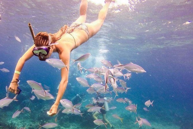 Scuba Diving at Catalina Island - 2 tank | 2 spots - Beach lunch and open bar: the reset you’ll want