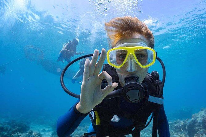 Scuba Diving at Catalina Island - 2 tank - for Certified Divers - Key things to know before you go