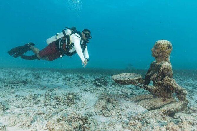 Scuba Diving at Catalina Island - 2 tank - for Certified Divers - Aquarium Reef: a shallower second tank (up to 40 ft)