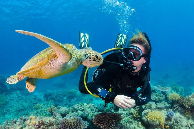 Scuba Diving on Catalina Island | 2 tanks, 2 spots - Key highlights you’ll feel on the day
