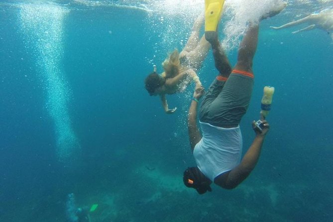 Scuba Diving on Catalina Island | 2 tanks, 2 spots - Price check: is $150 fair for two tanks and two sites?