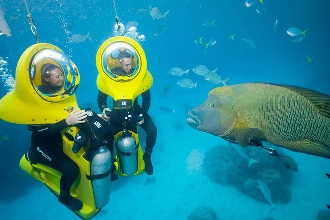 Scuba Doo Diving Experience in Punta Cana - The glass-bottom boat: Panoramic One and what to look for