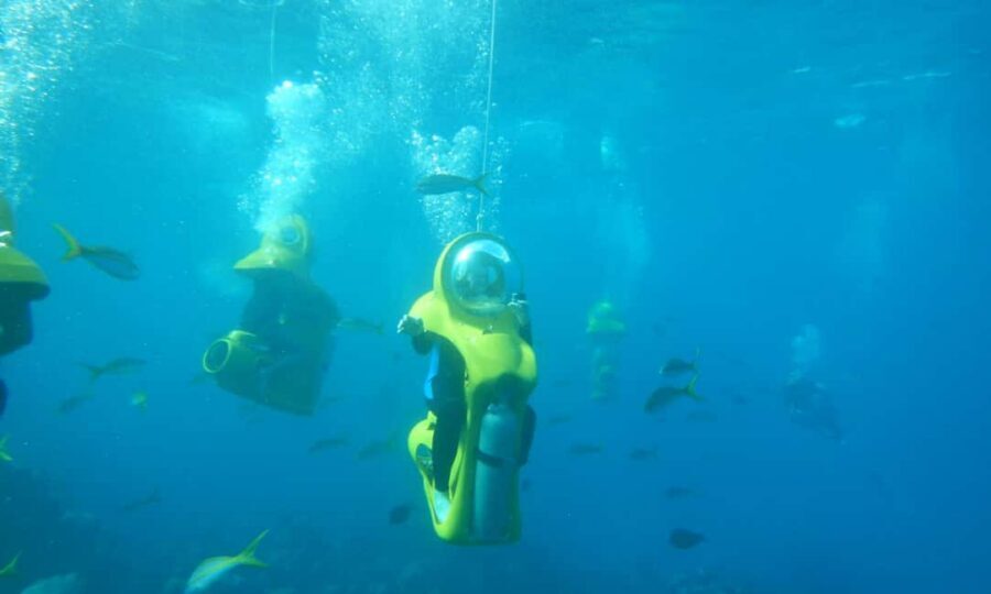 Scubadoo Punta Cana Diving Adventure - Glass-bottom boat, then going underwater with a scooter