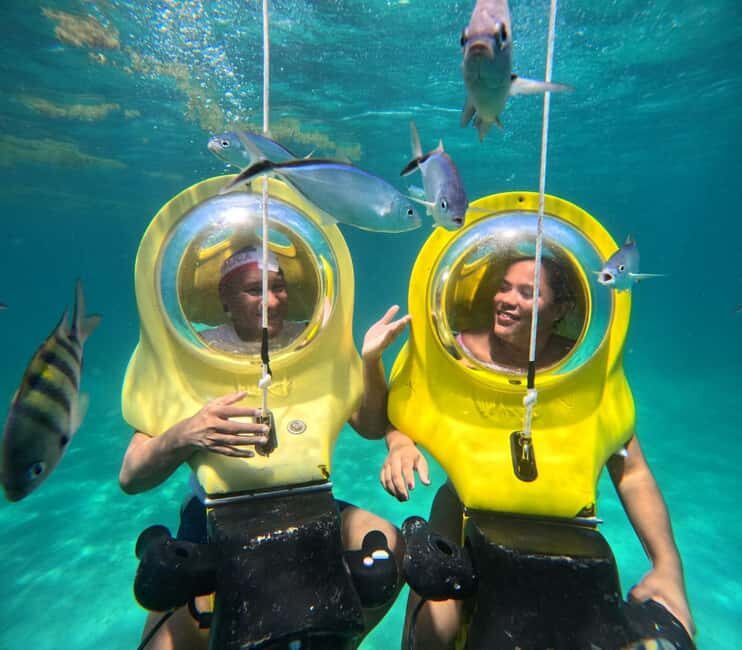 Scubadoo Punta Cana Diving Adventure - Snorkel practice and marine life: what you can actually look for