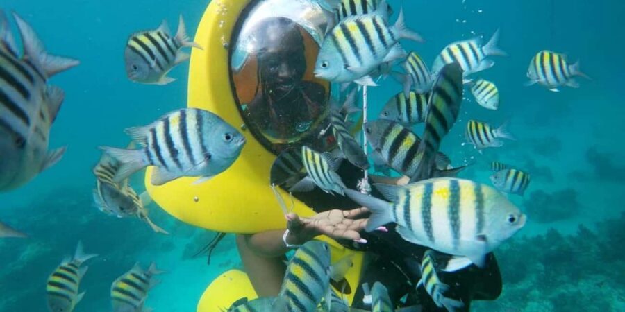 Scubadoo Punta Cana Diving Adventure - Transport and timing in La Altagracia with pickup included