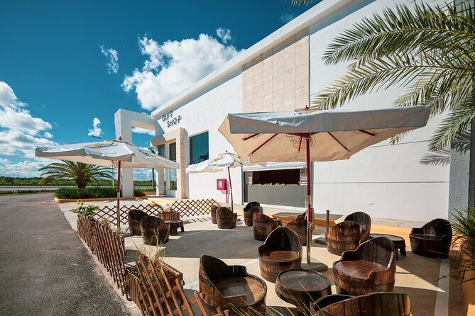 Shopping Tour in Punta Cana with Round Trip Transportation - Who should book this shopping tour