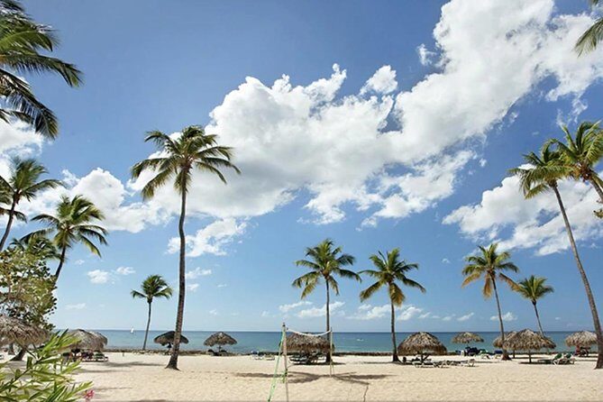 Shore Excursion: Viva Wyndham Resort For The Day With Unlimited Food & Drinks - Viva Wyndham Dominicus Beach Day Pass: What You Really Get