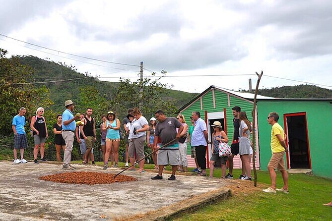 Small Group: Half-Day Cultural Tour of Punta Cana - The cigar demo and typical Dominican house stop: coffee, cocoa, and fruit