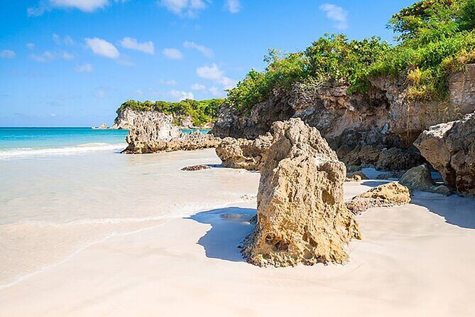 Small Group: Half-Day Cultural Tour of Punta Cana - Pickup, group size, and the 7:30 am start that shapes everything