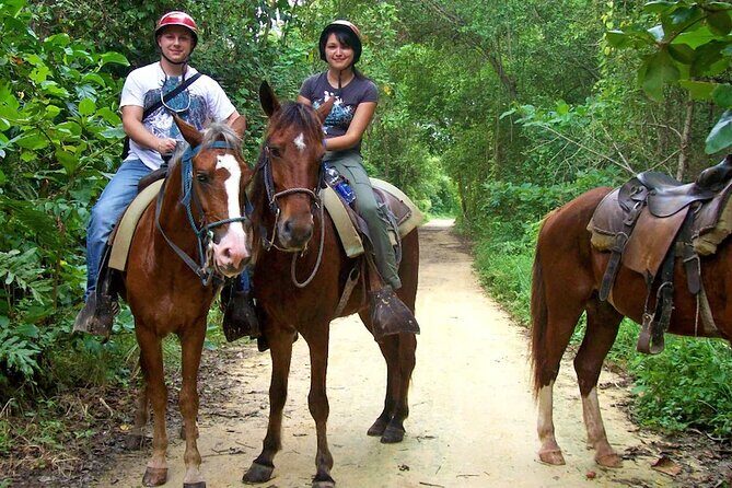 Small Group: Half Day Punta Cana Cultural Tour - Getting From Your Hotel: Pickup, Timing, and Small-Group Reality