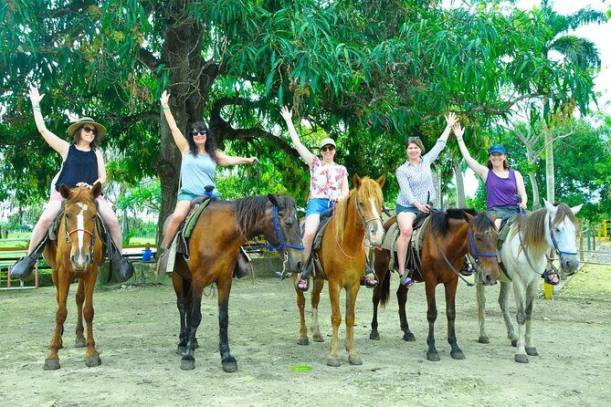 Small Group: Half Day Punta Cana Cultural Tour - The Coffee, Cocoa, and Mama Juana Stops That Make Culture Make Sense