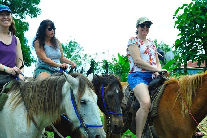 Small Group: Half Day Punta Cana Cultural Tour - La Altagracia Ranch Horseback Ride: Short, Fun, and Best With Closed-Toe Shoes