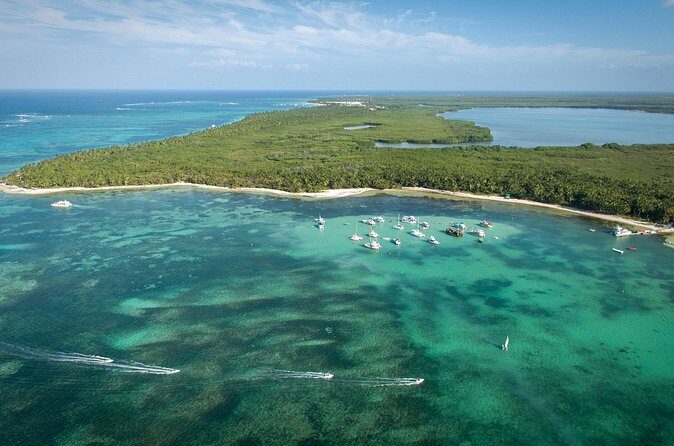 Small Group Punta Cana Snorkeling with Premium Open Bar - Price check: is $89 worth it?