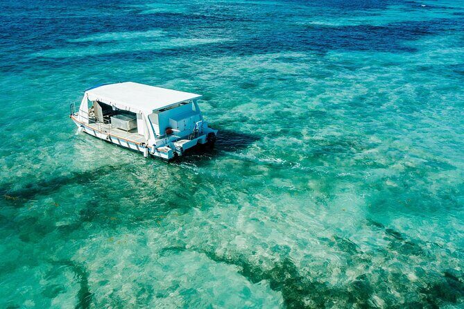 Snorkeling and Swimming on a Caribbean Cruise by Sharky Catamarans - Stop 2: snorkeling the coral nursery reef (and how to make it worth your time)
